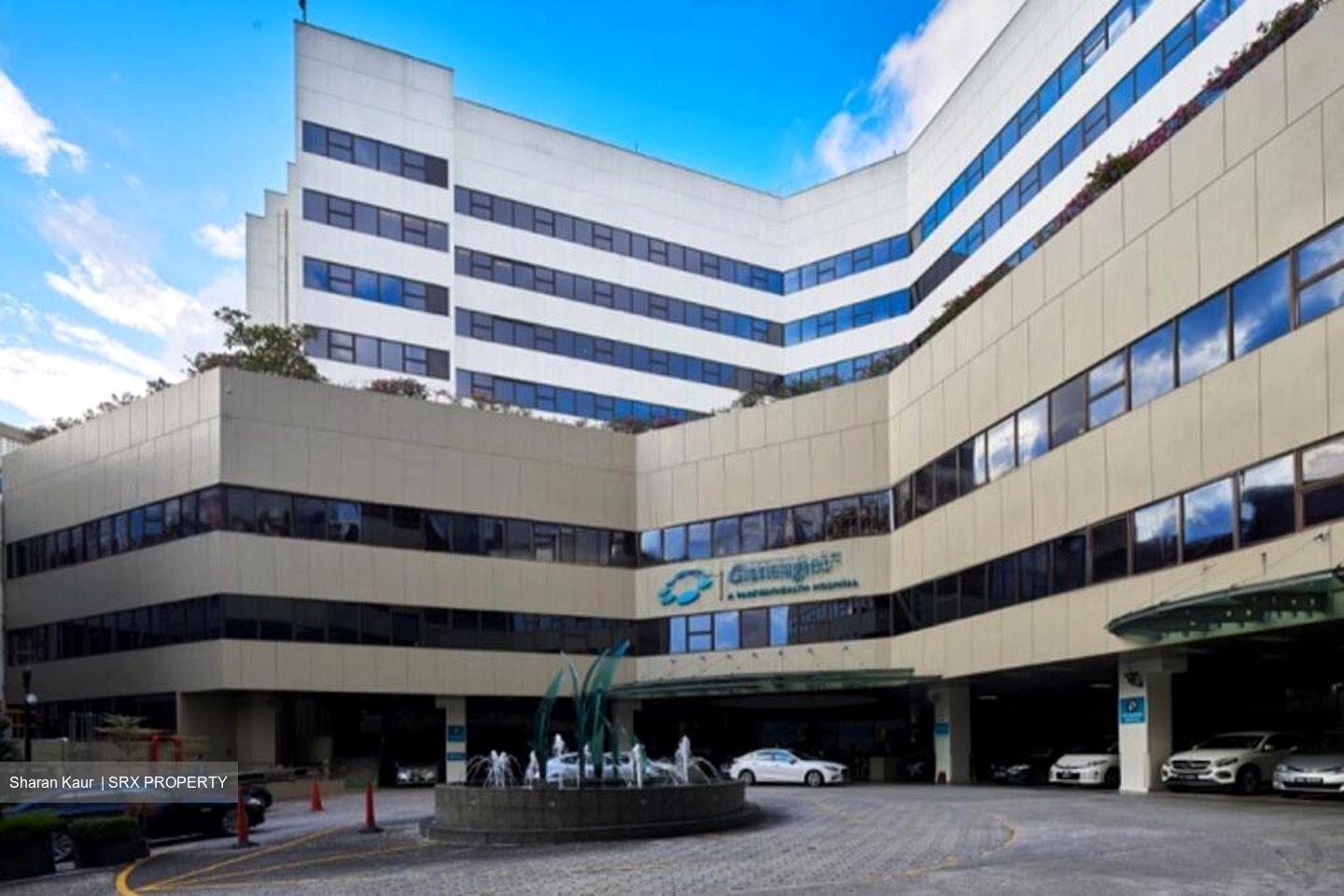 Gleneagles Hospital (D10), Retail #511314261